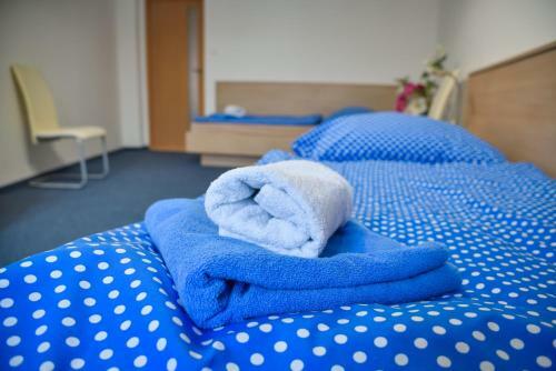 Hostal Penzion U Zlat� Stoky