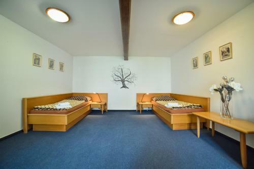 Hostal Penzion U Zlat� Stoky