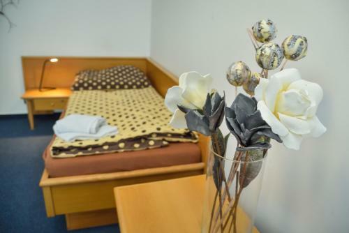 Hostal Penzion U Zlat� Stoky