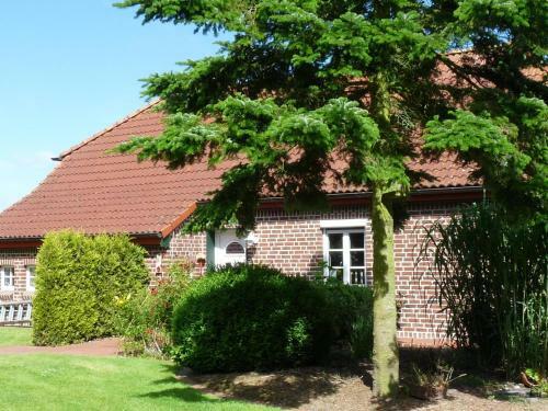 Apartamento 50092 Wohnung Feld