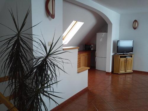 Apartamentos Casa Magdalena