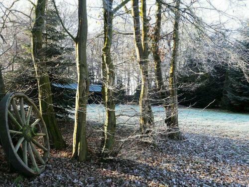 Hotel Zur Schanze Holtgast