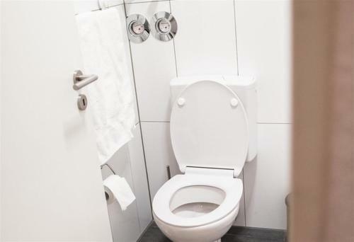 Nice Apartmens Near Heidelberg