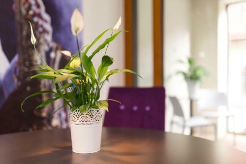 Apartamento Luxus-apartment Am Neumarkt