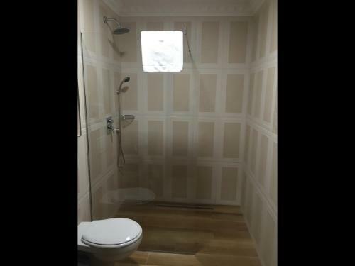 Hostal Vila Steaua Nordului