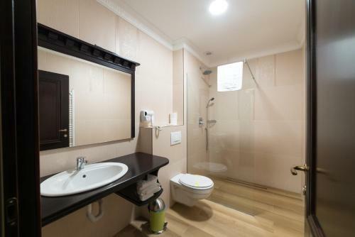 Hostal Vila Steaua Nordului