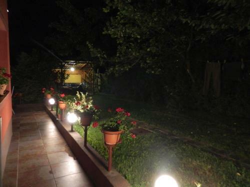 Hostal Cazare Vio