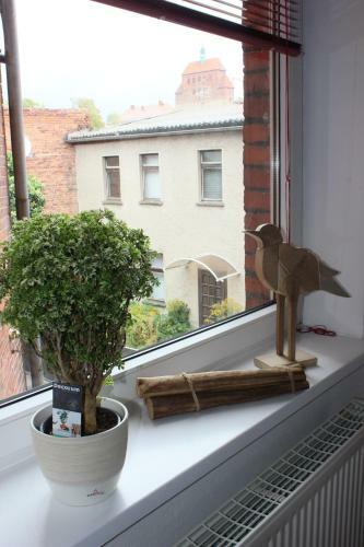 Bilderbuchcafe - Ferien - Apartment No 3 - Markt 7