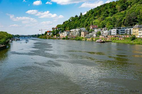 Bs Neckar Apartment Heidelberg
