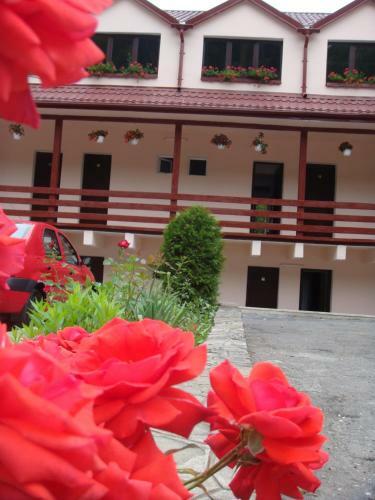 Motel Cristina