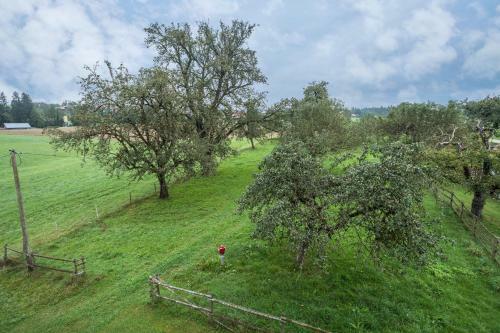 Apartamento Ferienhof Wetzel Fewo 2