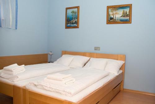 Hostal Penzion U Splavu