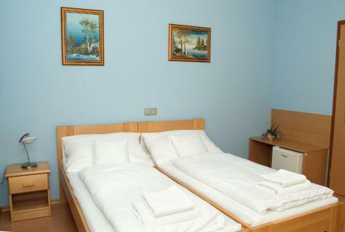 Hostal Penzion U Splavu