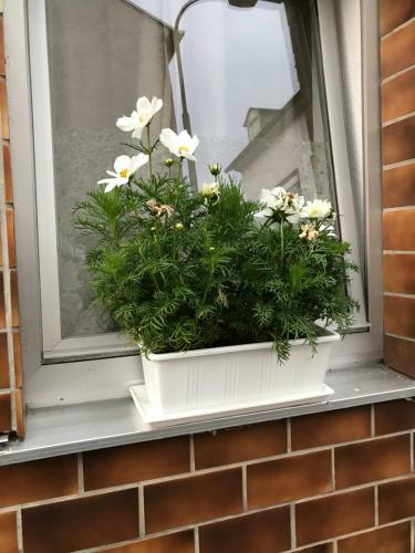 Ferienhaus L�hr Barrierefrei