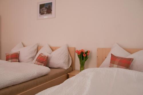 Apartamento Penzion Star� Pivovar