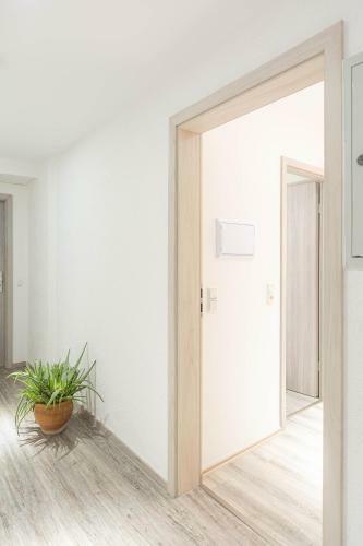 Apartamento Messe-hotelzimmer-einzimmerappartement