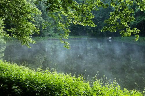 Hostal Landgasthof Hieren M�hle