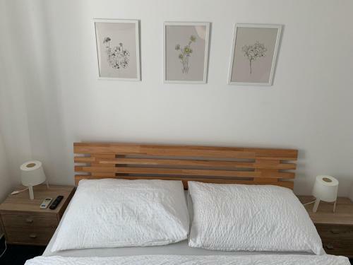 Hostal Mikulov Inn - Penzion Zem?