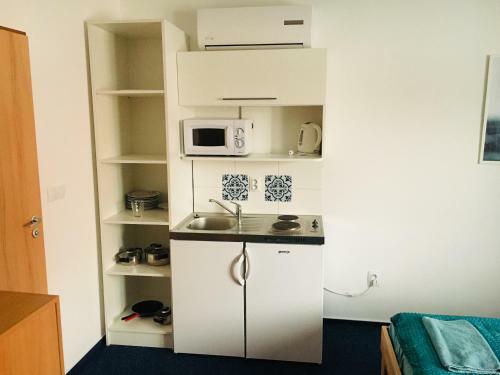 Hostal Mikulov Inn - Penzion Zem?
