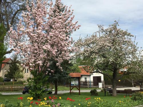 Hostal Pension Sonja M�ller