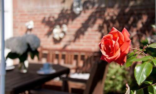 Binnendieck
