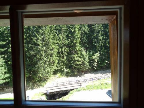 Apartm�ny Pod Javorem