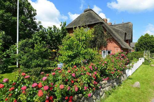 Apartamento Holiday Flat Oevenum - Dns10102e-p