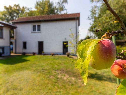 Apartamento Ferienunterkuenfte Villmann