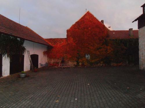 Hostal Villa George