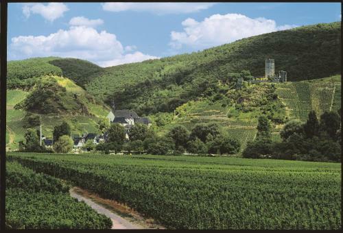 Apartamento Ferienweingut Pies Ellenz-poltersdorf