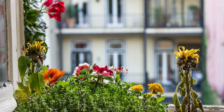 Hostal Casinha Das Flores