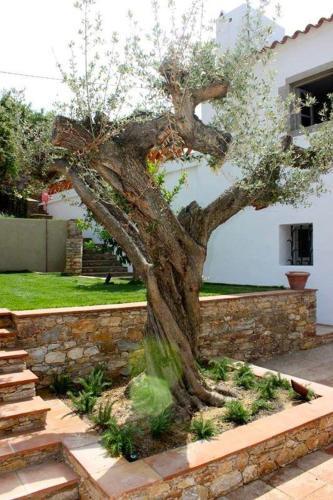 Begur Town House Sleeps 10 With Pool And Wifi