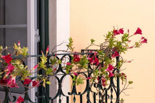 Pateo Santo Estevao-self Catering Apartments