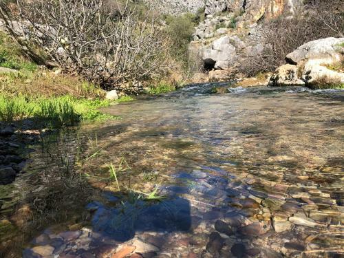 Apartamento Casa Rural Las Rosas de Benaojan