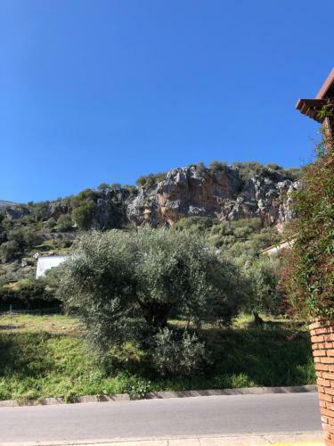 Apartamento Casa Rural Las Rosas de Benaojan
