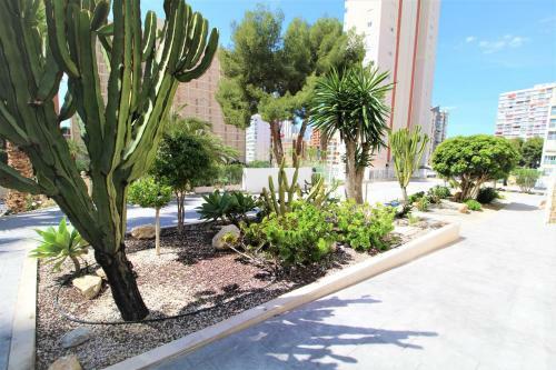 Apartamento Atico Levante Torre Montecarlo