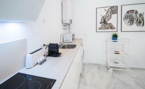 Apartamento Animalia