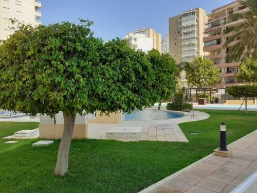 Apartamento En Apolo Xvii, Playa La Fossa
