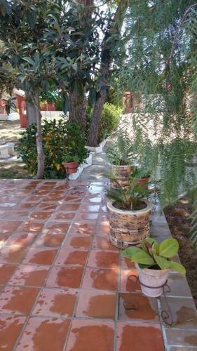 Chalet Enol Sol
