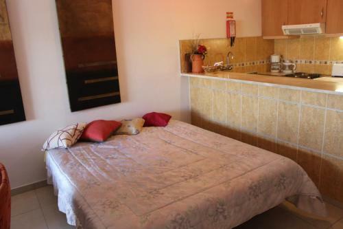 Apartamento Naturmar Praia