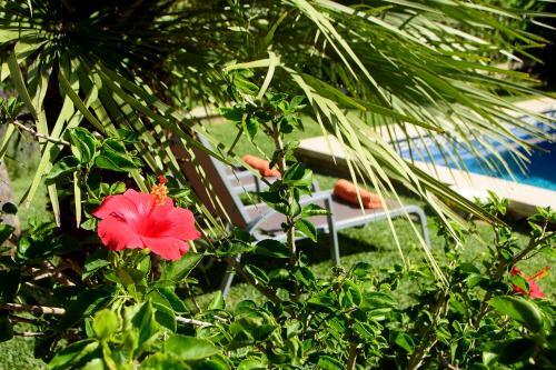 Port de Pollenca Villa Sleeps 4 Pool Air Con Wifi