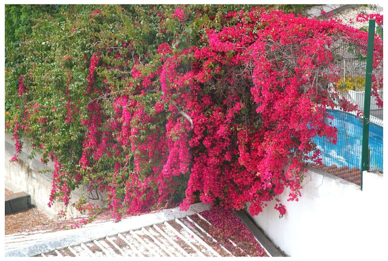 Hostal Sunny Lisbon - Guest House And Residence