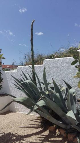 Apartamento Cueva Las Rosas-vtar/gr/02108