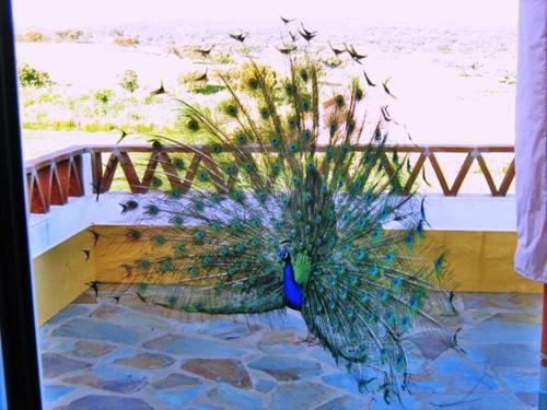Naveterra-hotel Rural