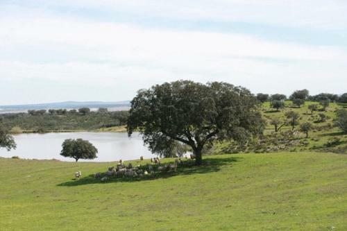 Naveterra-hotel Rural