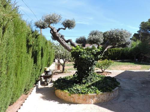 Villa Doree 516