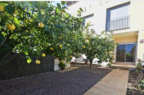 Apartamento L' Orangerie