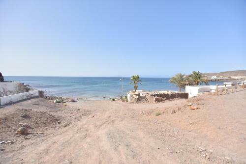Fuerte Holiday Lajita Ocean Dream