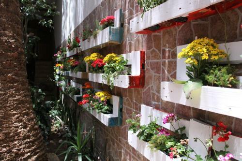 Albergue The Garden Bed And Breakfast