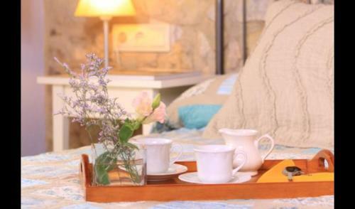 Les Planes D'hostoles Villa Sleeps 14 With Pool